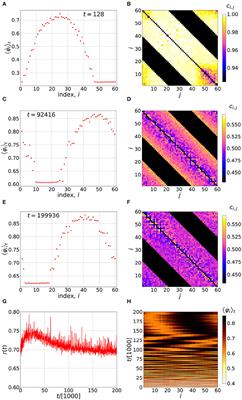 Chimera Patterns of Synchrony in a Frustrated Array of Hebb Synapses